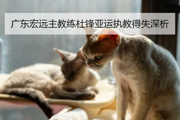 广东宏远主教练杜锋亚运执教得失深析